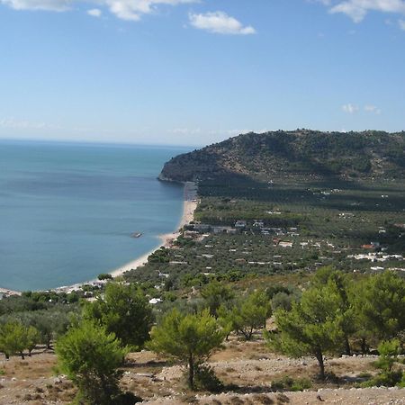 Mattinata Camping Kültér fotó