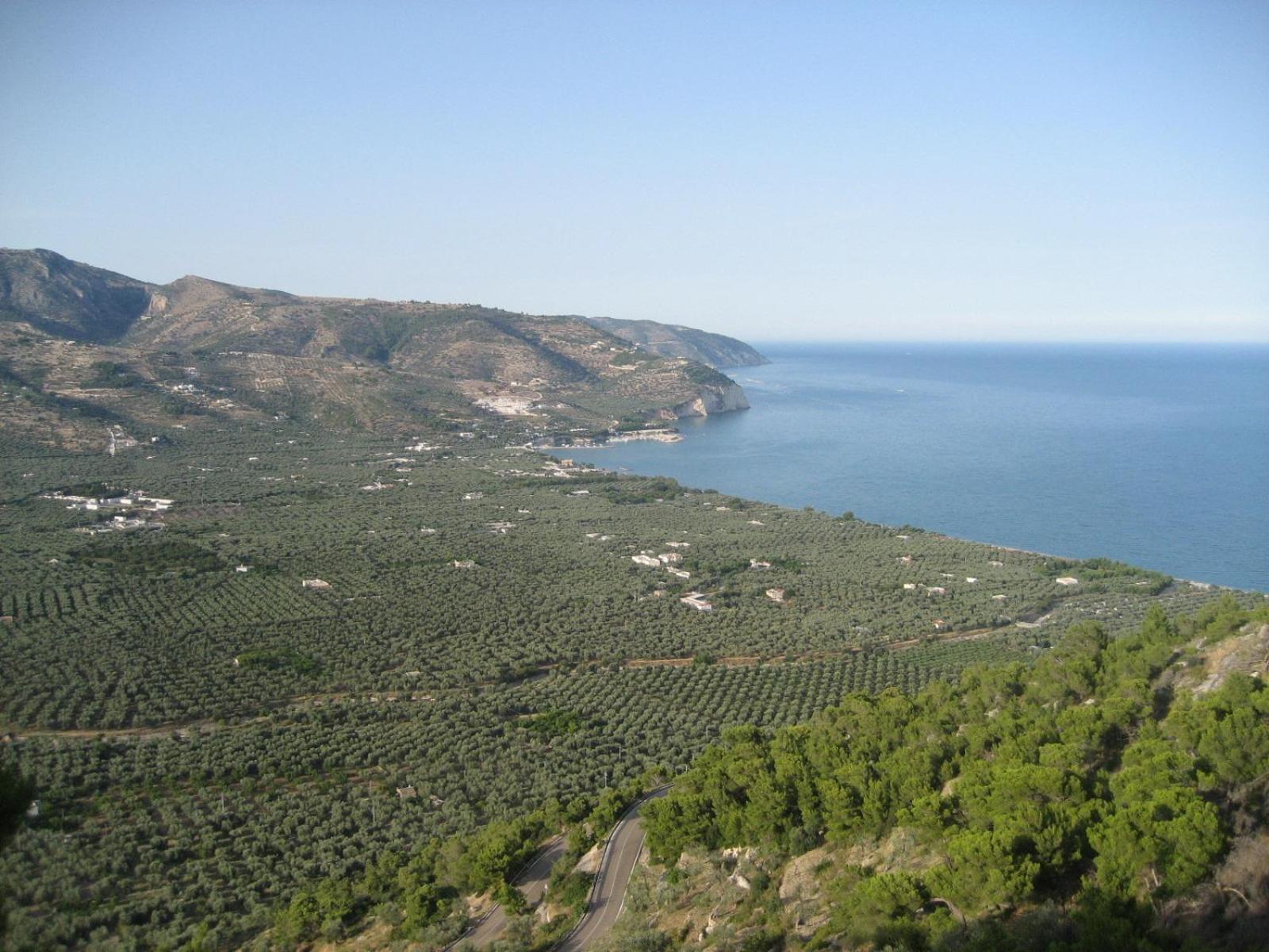 Mattinata Camping Kültér fotó