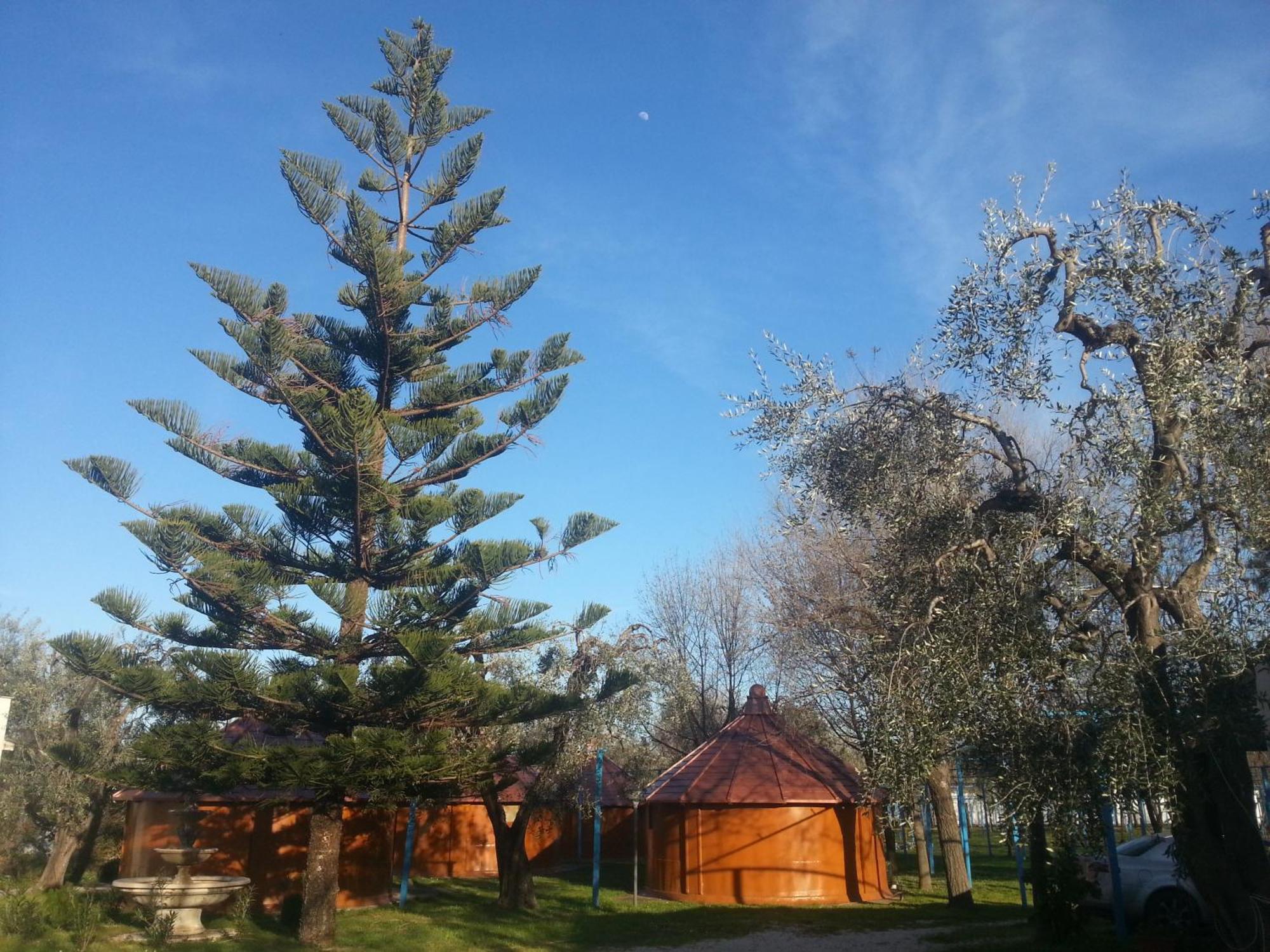Mattinata Camping Kültér fotó