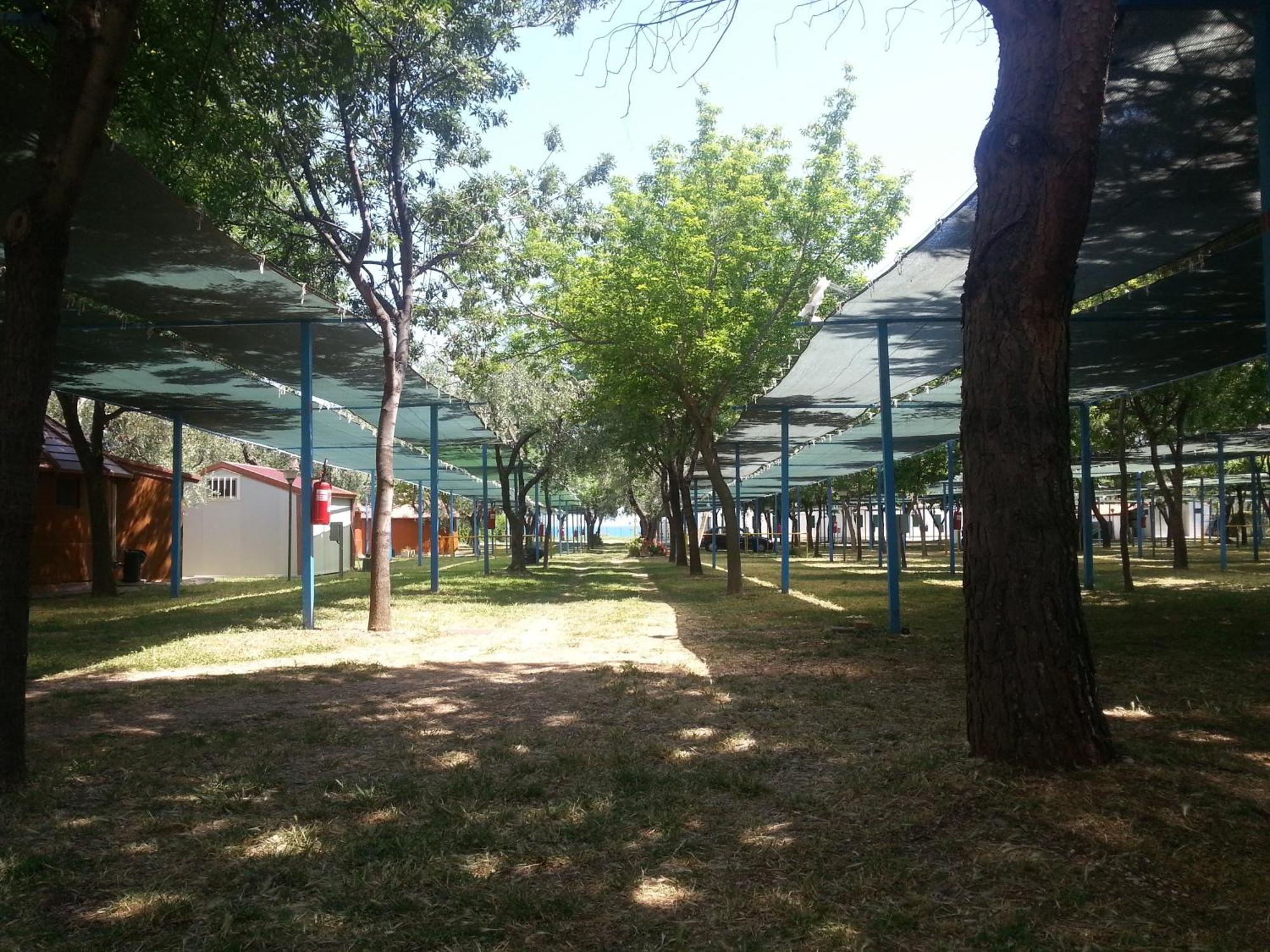 Mattinata Camping Kültér fotó